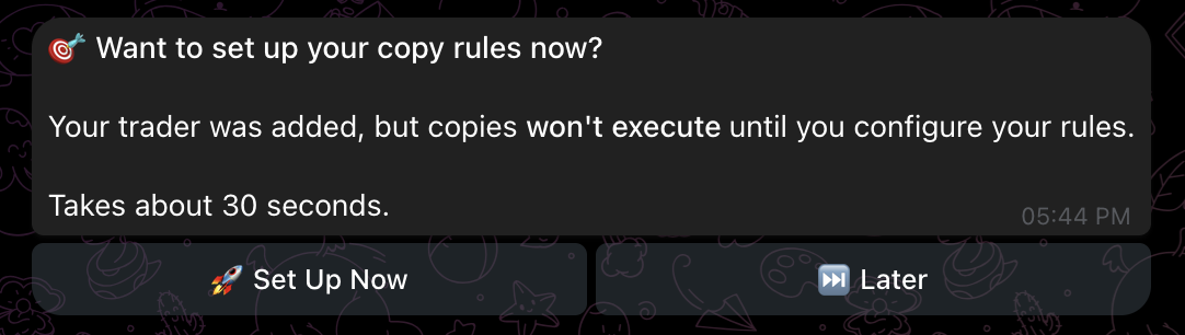 Bot prompt asking the user to set up copy rules now or later