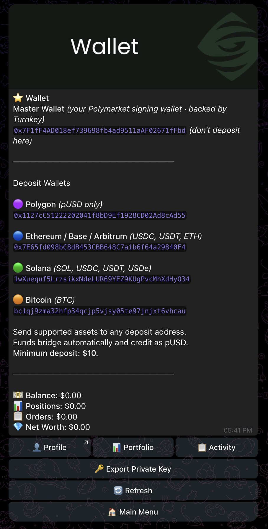Mirrored Wallet view in Telegram showing master signing wallet, four deposit addresses, balance, and key actions